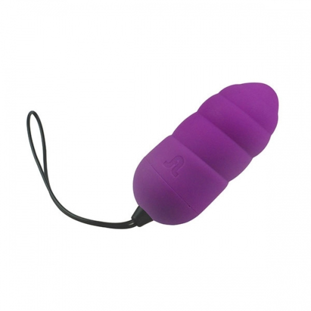 Виброяйцо Adrien Lastic Ocean Dream Purple с пультом LRS (31292), zoom