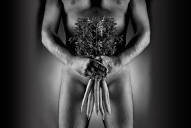 fetish_nasadka_sex_shop