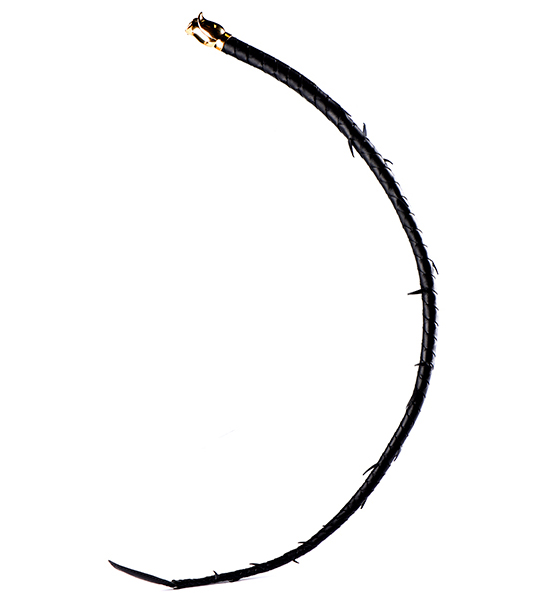 Фото 1 - Кнут роза с шипами